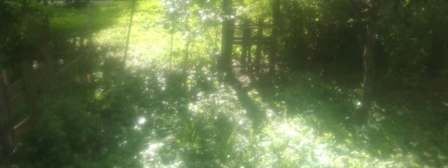 きらら♩さんの壁紙画像