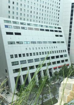 ✨ 𝑏𝑒𝑎𝑢𝑡𝑦 𝑔𝑖𝑟𝑙 ✨