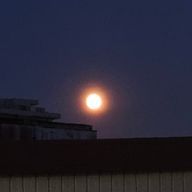 のまさんのアイコン画像