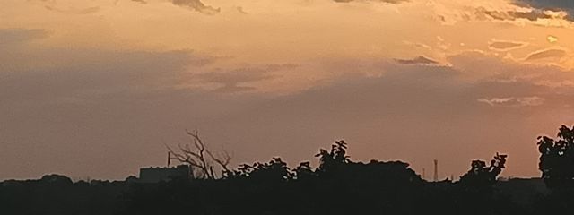 真鶴さんの壁紙画像