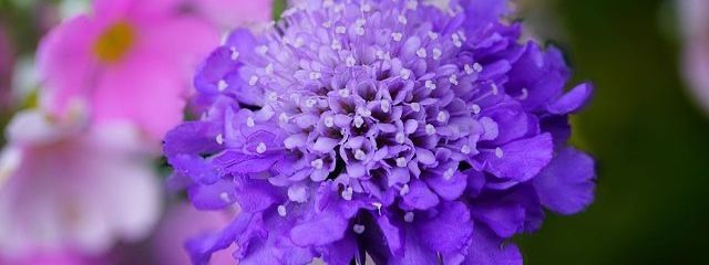  抹茶アイス  🍵🌿‬@ネタ切れ＆低浮上さんの壁紙画像