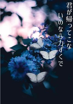 君が帰ってこないのなら力ずくで