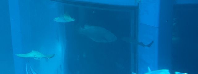 ゆなさんの壁紙画像