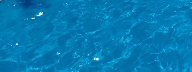 ハ ウ ス ダ ス トさんの壁紙画像