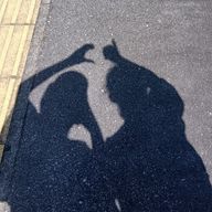 ハ ウ ス ダ ス トさんのアイコン画像