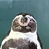 あひる口さんのアイコン画像