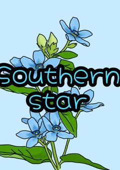 「Southern star」グループ共有共同垢