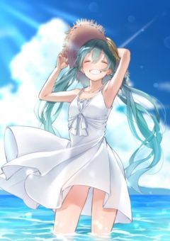 私に夏はもう来ない