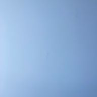 ゆりっぺさんのアイコン画像