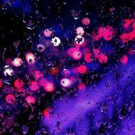 あめさんのアイコン画像