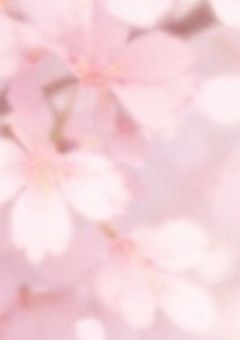 その時、最後の花びらが散った。