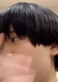 写真集