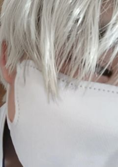 写真集