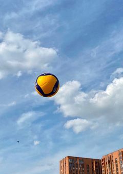 火の鳥のリベロは愛される