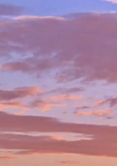 実は男装女子でした。