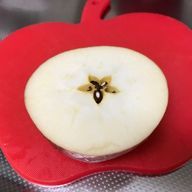 RINGOさんのアイコン画像