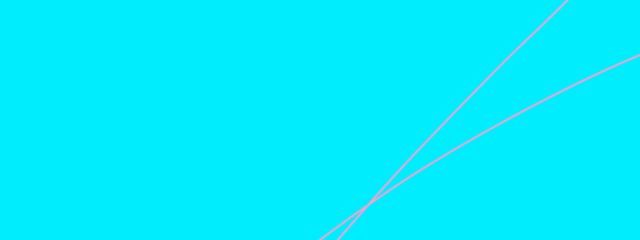 りにゃさんの壁紙画像