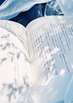 　#　斑瀨の青い鳥