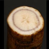 飛んでも大介さんのアイコン画像