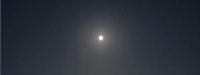 笑みさんの壁紙画像