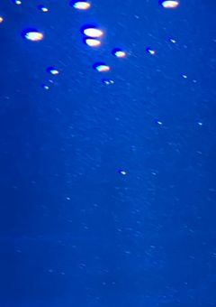 青い人に拾われました