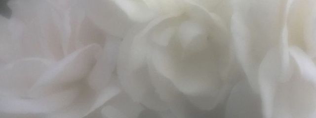 ぴあのさんの壁紙画像