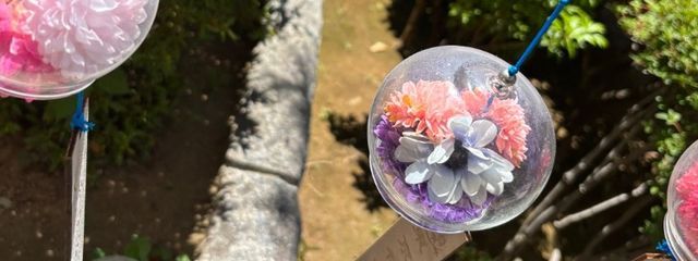 そら🍤🫧　#🦴🍪🎸 @低浮上さんの壁紙画像