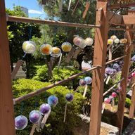 そら🍤🫧　#🦴🍪🎸 @低浮上さんのアイコン画像