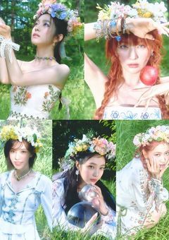 るいぽよの雑用のーと +*