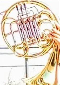 一応部長なんですけどね