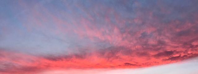 あめふり *☂︎*̣̩⋆̩さんの壁紙画像