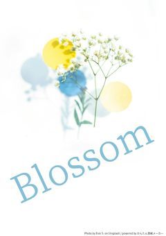 Blossom【短編集/花言葉】