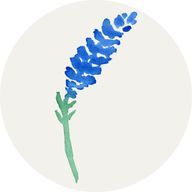 飛　信子さんのアイコン画像