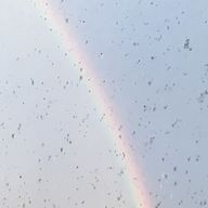 麗菜さんのアイコン画像