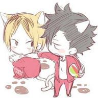 シルハクさんのアイコン画像