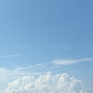 れなさんのアイコン画像