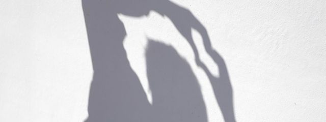 nanami.さんの壁紙画像