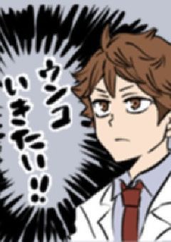 ハイキュー部の世界に転生したら溺愛されてしまった件