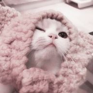 みおさんのアイコン画像