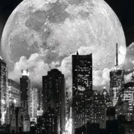 y o r u ෆさんのアイコン画像