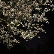 NeLさんのアイコン画像