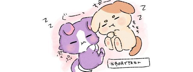 犬槇🍵🐾 / 春休みまで小説更新ストップ中さんの壁紙画像