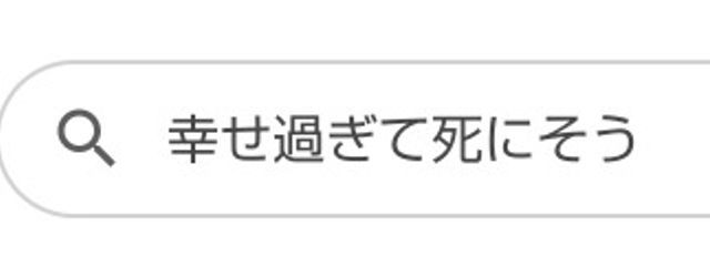 陽光の犬槇　　4月20日引退さんの壁紙画像