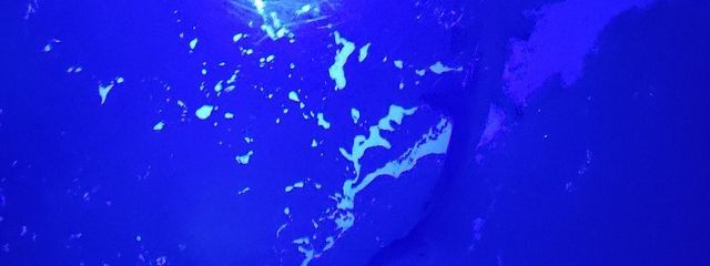 ぷりまぜ推し🍀さんの壁紙画像