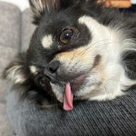 お酢✩.*˚さんのアイコン画像