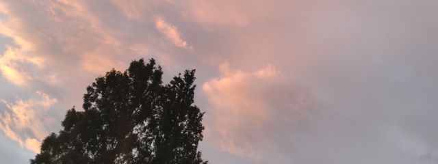 すち🎼🍵さんの壁紙画像