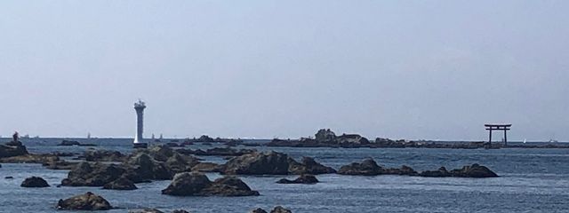 みかんさんの壁紙画像