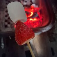 ❄️🦁さんのアイコン画像