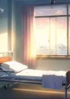 窓から見た貴方