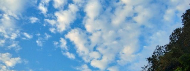 音晴2#プロフ必見さんの壁紙画像